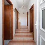 A 1 - Near With Patio Parking And Grill Apartamento